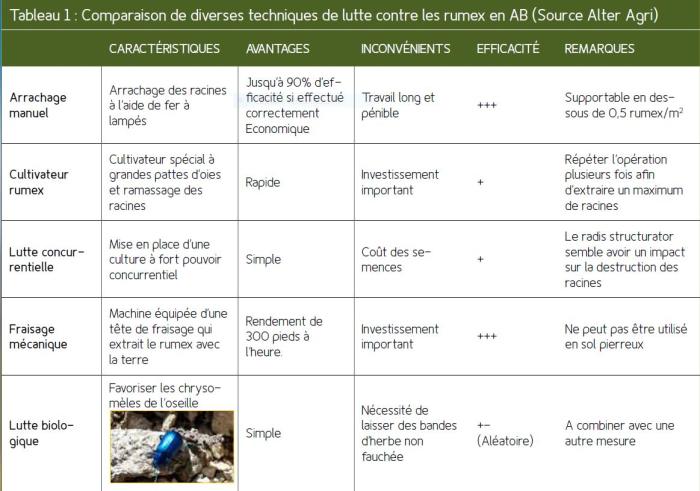 Rumex - Tableau comparaison des techniques de lutte en AB