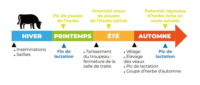 Répartition du travail en système de vêlage groupé de printemps-source Agrobio Bretagne