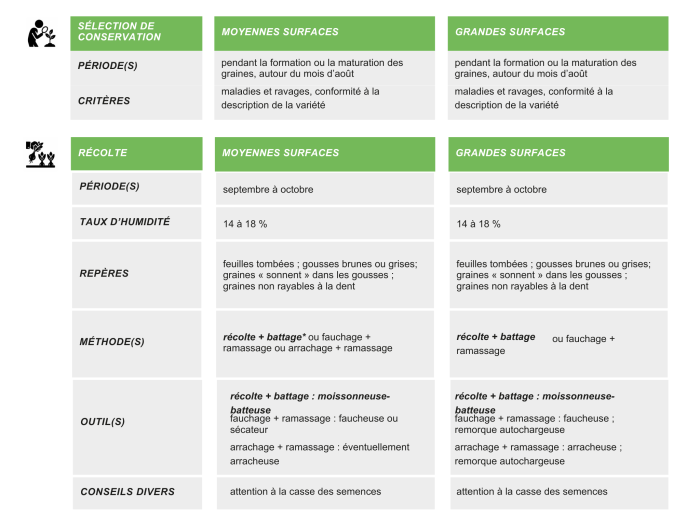 production-semences-edamame